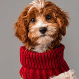 Blended Knit Jumper - Chilli