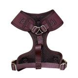Signature harness and leash