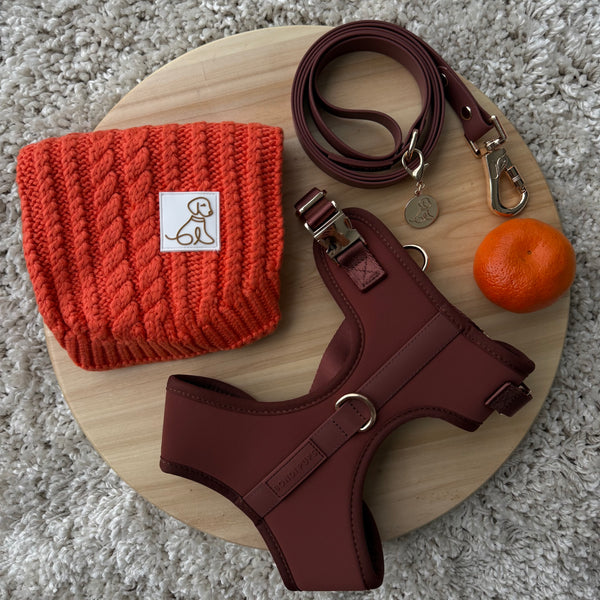 Pumpkin Bondi Bundle