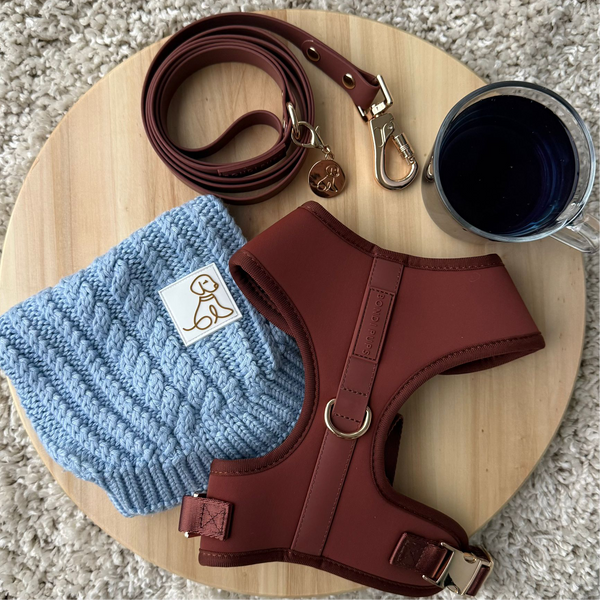 Blue Bondi Bundle