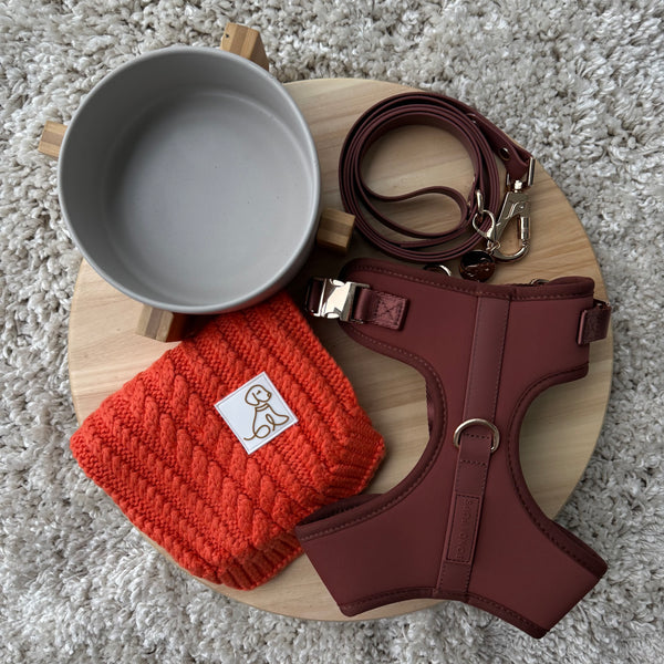 Pumpkin Premium Bundle