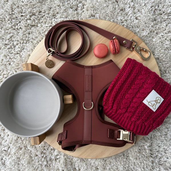 Raspberry Premium Bundle
