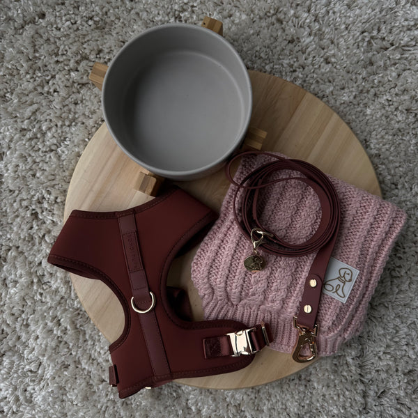 Blush Premium Bundle