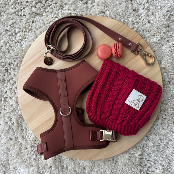 Raspberry Bondi Bundle