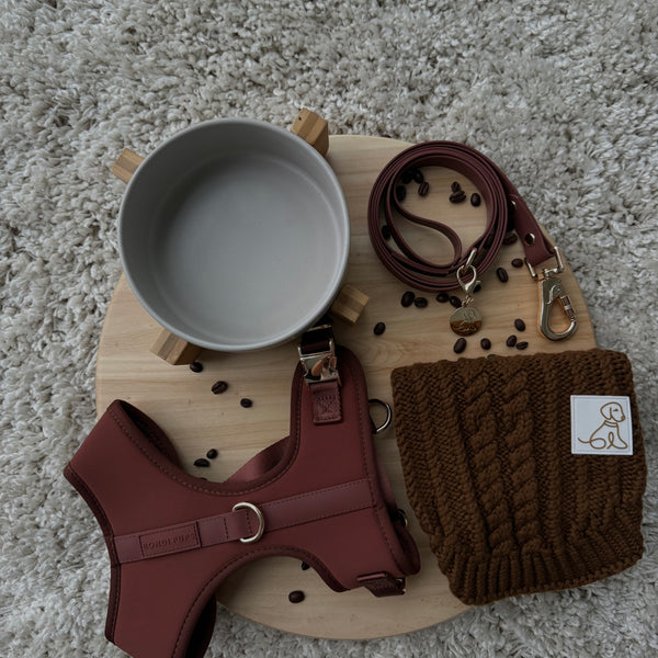 Choc Brownie Premium Bundle