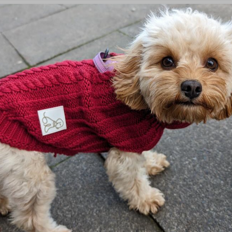 Blended Knit Jumper - Chilli