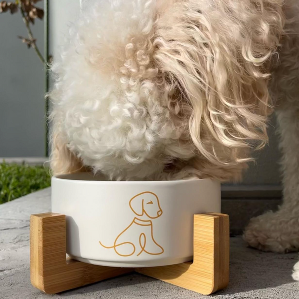 Luxe Ceramic Bondi Bowl Bone BONDI PUPS