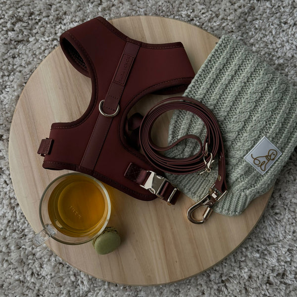 Sage Bondi Bundle