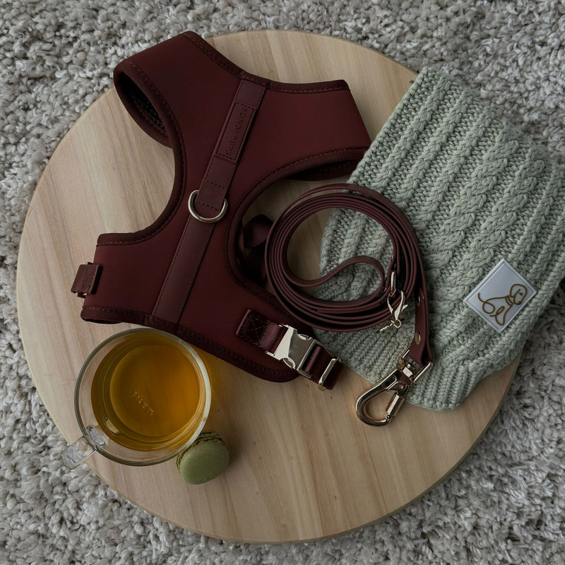 Sage Bondi Bundle