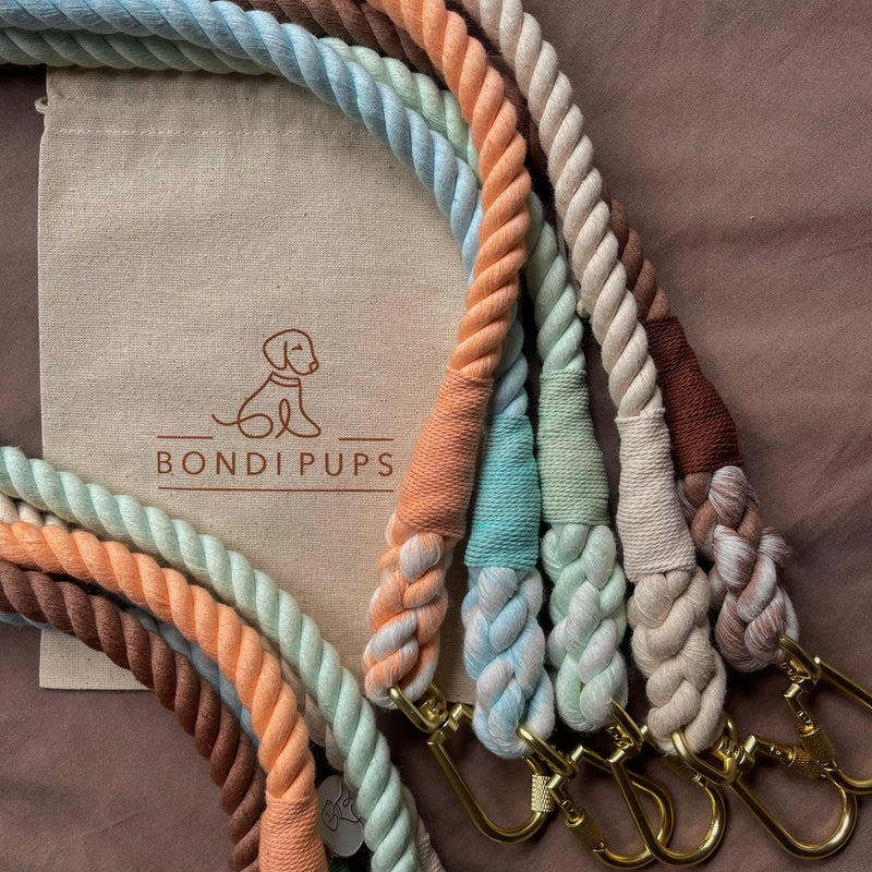 Organic Cotton Leash - Mint