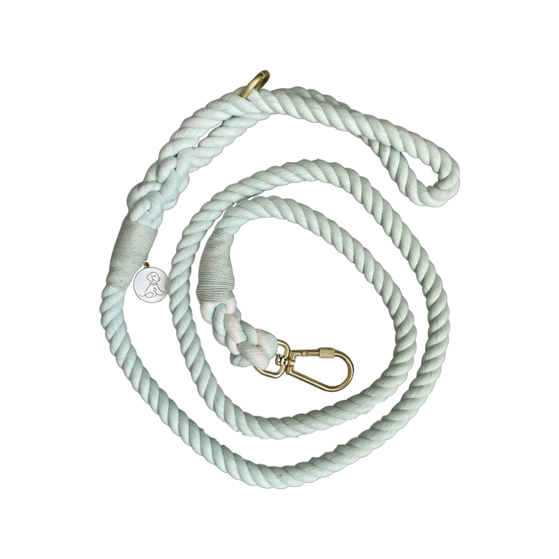 Organic Cotton Leash - Mint